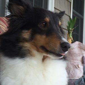 Meet your Posher, Debra